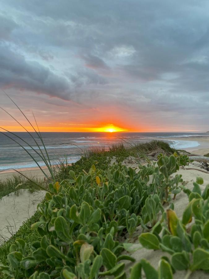 Soutelande Country Stay - Close To 1#Beach In Pe 伊丽莎白港 外观 照片